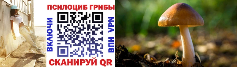 Псилоцибиновые грибы GOLDEN TEACHER  Елабуга 